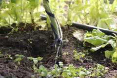 GRAAS iRigator - Automatinė šiltnamio laistymo sistema