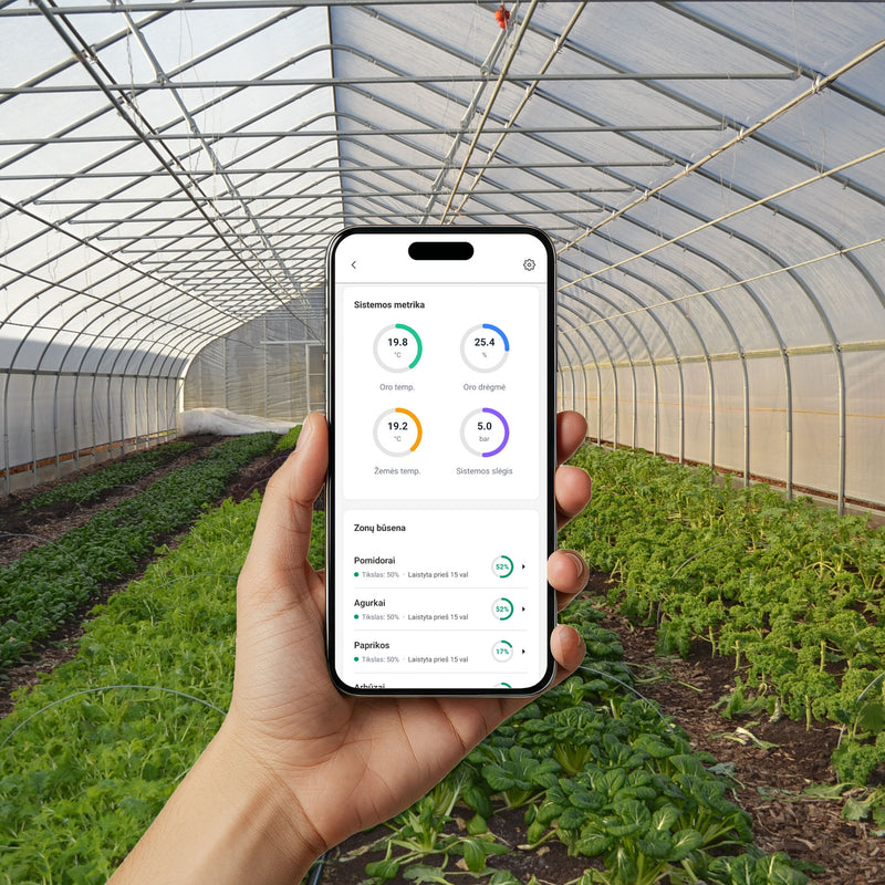 Detalus duomenų stebėjimas